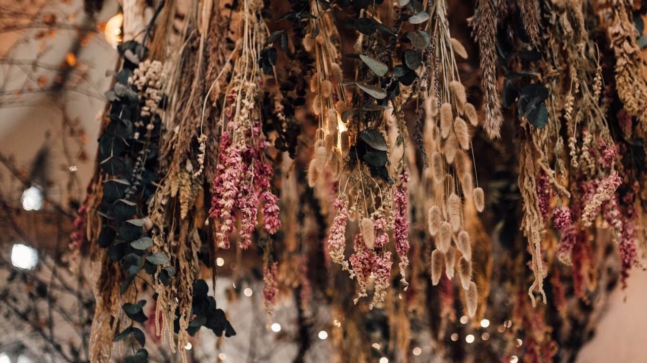 4fbdf7ab-9315-478c-a259-34b6ed3e1ad9-8420684