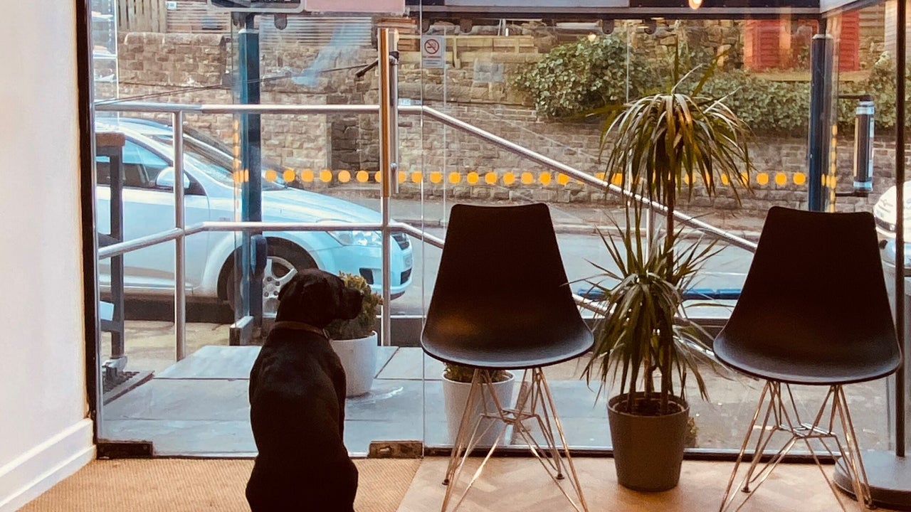 5025ed29-baa0-4ce5-8163-73475c19a89a-8304376