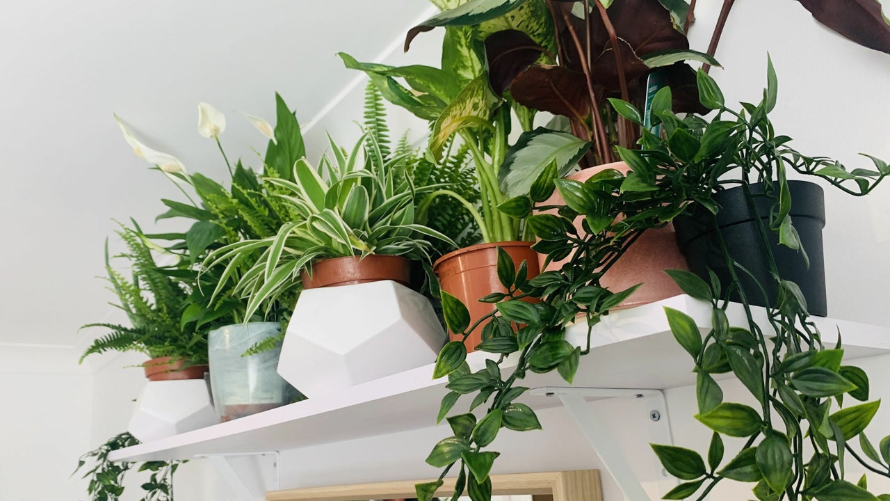 5425f3cc-06c4-47ba-abe3-d59a194757d0-6950904