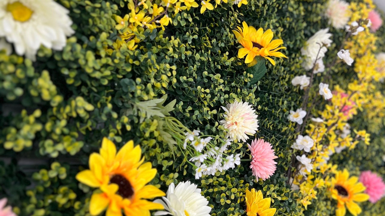 543b1a9f-a008-4e5a-87fe-ee81b21921de-saltshairdressingandbarbering-gb-england-chippenham-fresha-4616674