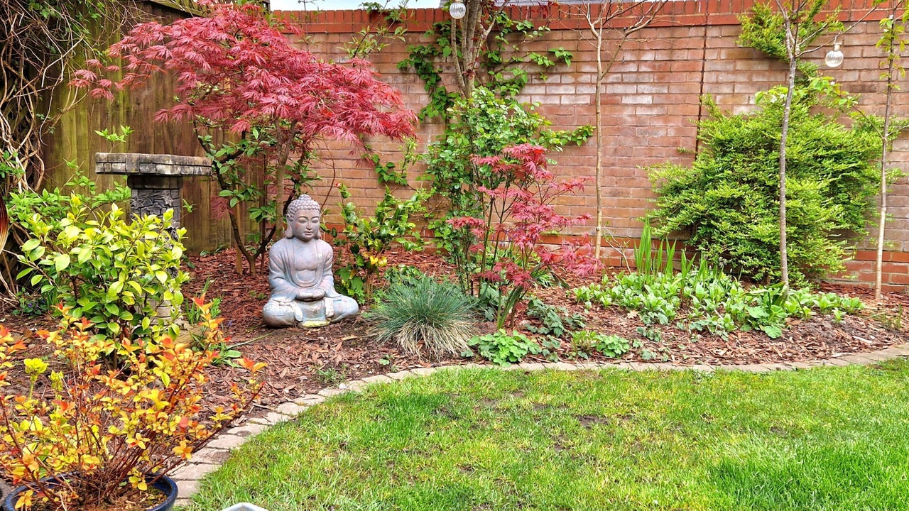 54484188-ab9e-4cc9-8d61-0a1f8eba4d3a-3509898