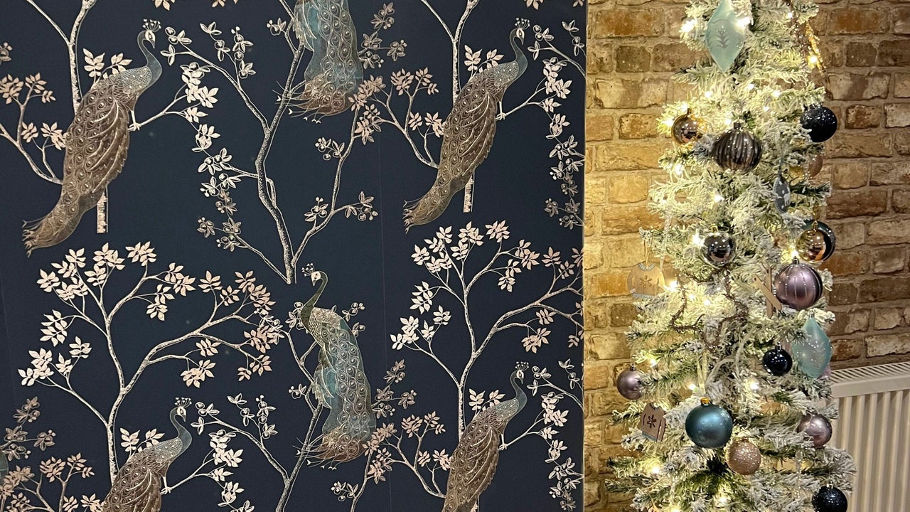 55e7eeda-8f7c-433a-8a92-8081a2259161-9185100