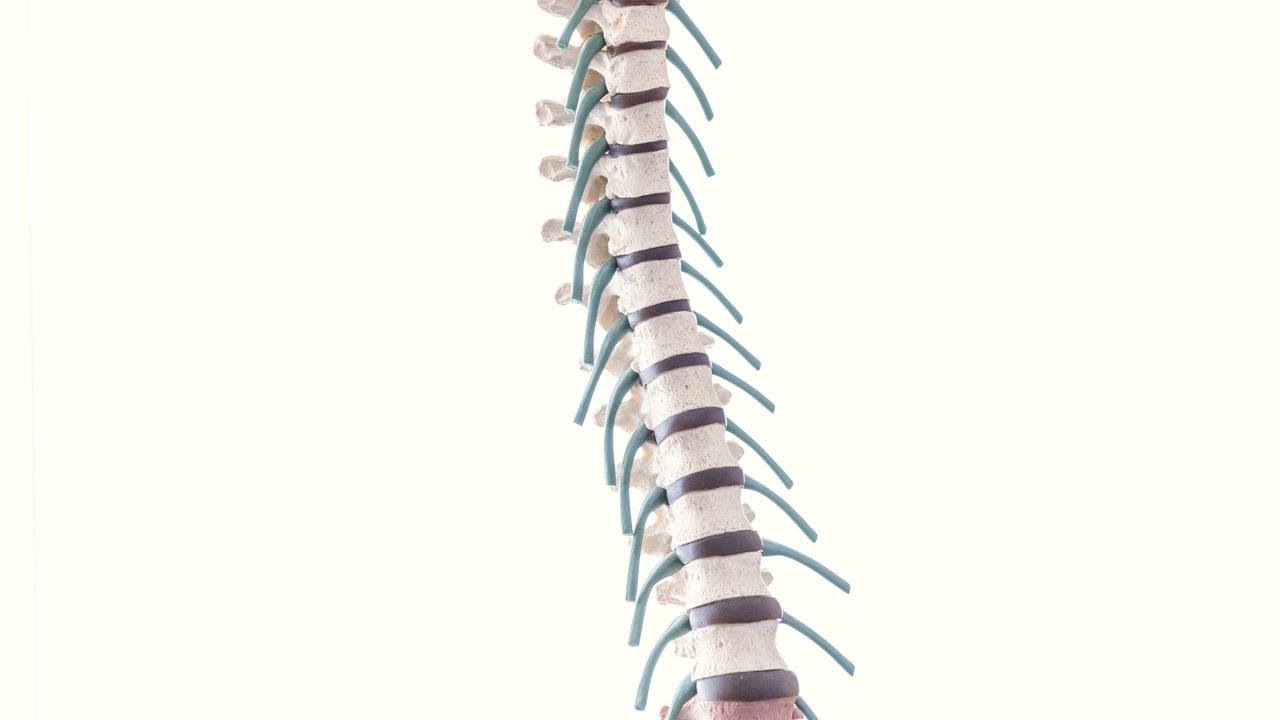 5860a2eb-1627-4a4a-9ee7-54f5a23e38ce-wsstellaardenassociateswoodhallspa-gb-england-woodhallspa-fresha-3398767