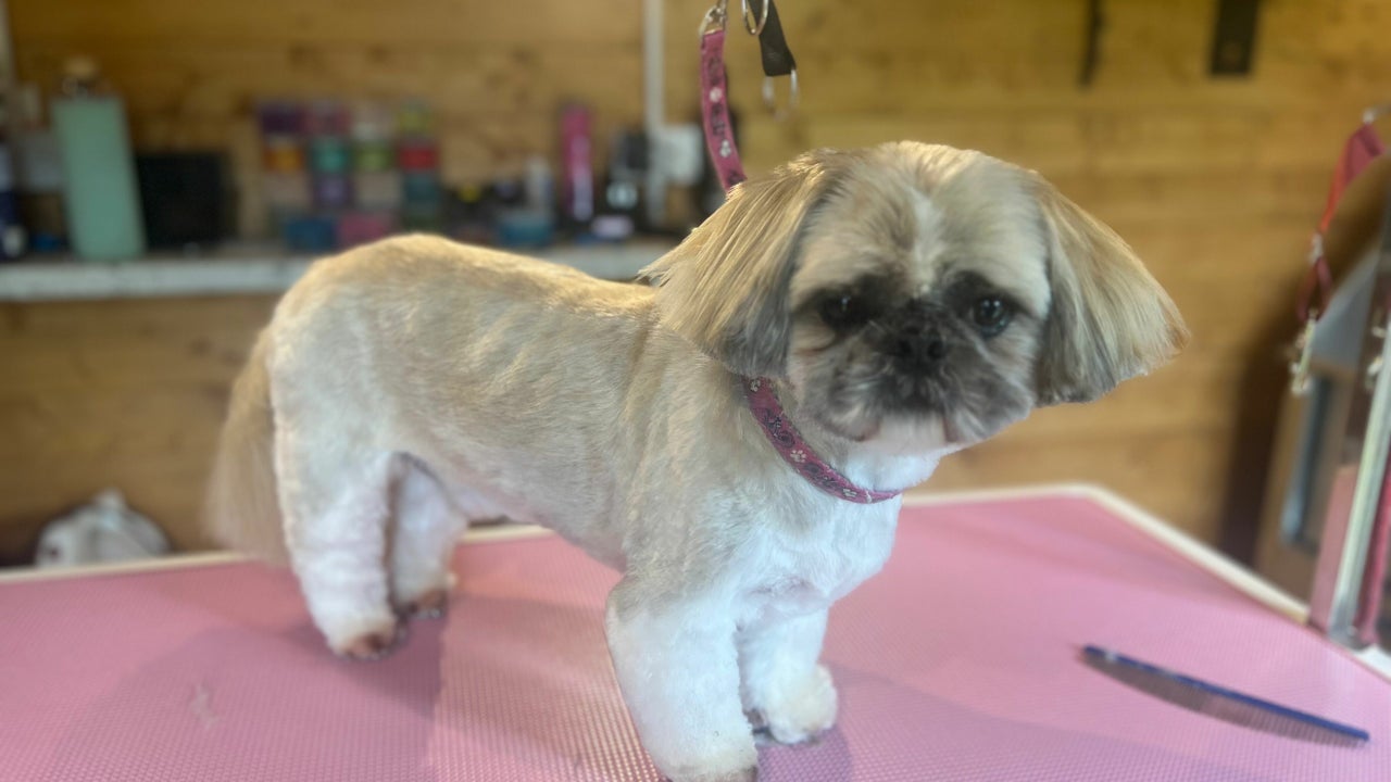 5b63a9d0-c890-4ab2-a142-bdd1f96cb152-thegroomshed-gb-england-arnside-fresha-6459095