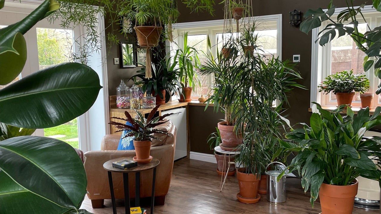 5dbc5dd7-7b4a-403b-8f0d-858ae3fd6d71-shed-gb-england-peterborough-thornhaugh-fresha-4404278