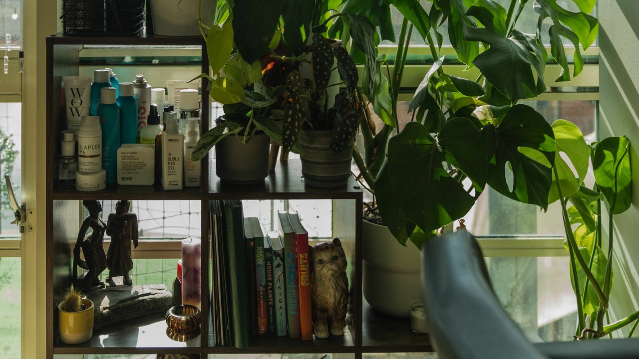 5ff1a1a5-900f-4fae-bbba-975b2f16115f-whiterabbithair-gb-england-birmingham-deritend-fresha-6371317