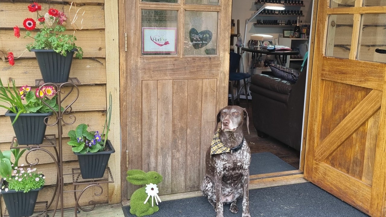 608483e2-2b49-4ff7-8f33-f73fd77820d2-4323978