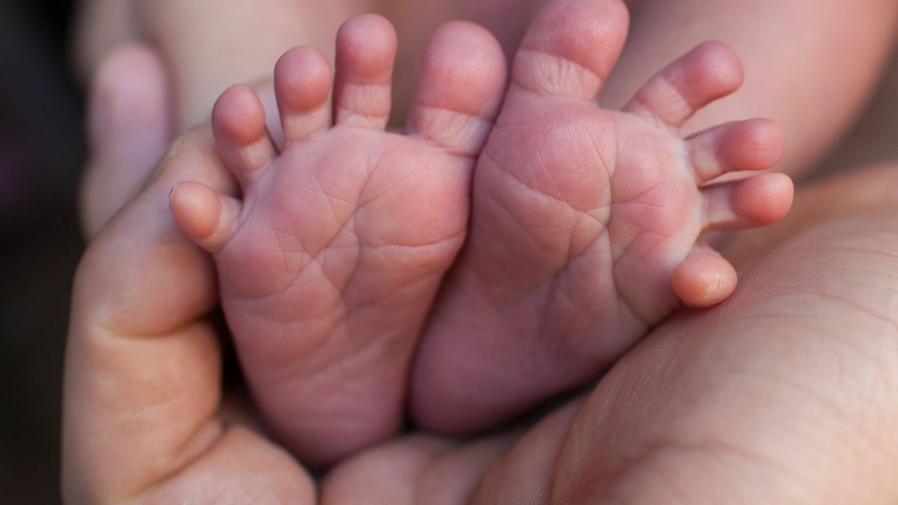 61a46f8c-6bfb-42cb-8174-29b4624ff01b-1352622