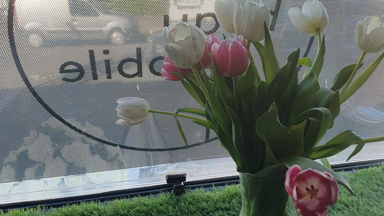 61f77987-f216-4d45-ae8e-29ef926f2593-beaumobilesalonandevents-gb-uk-llandudno-conwy-fresha-8322456