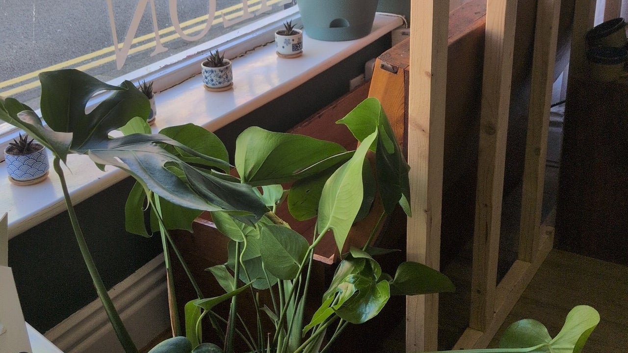 62867b7f-95a3-4d3a-8dd6-f04fc87ad021-theecogreensalon-gb-england-ulverston-fresha-4840805