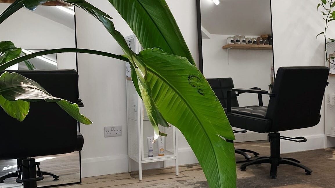 6383d21d-107d-476e-8c92-688231cbcf81-thewatt-gb-england-downhammarket-fresha-8424468