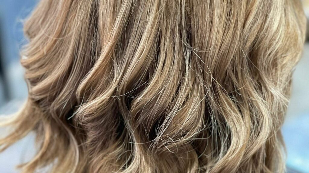 653513c9-5428-4417-af2c-9bbca0ed6a9f-6069853