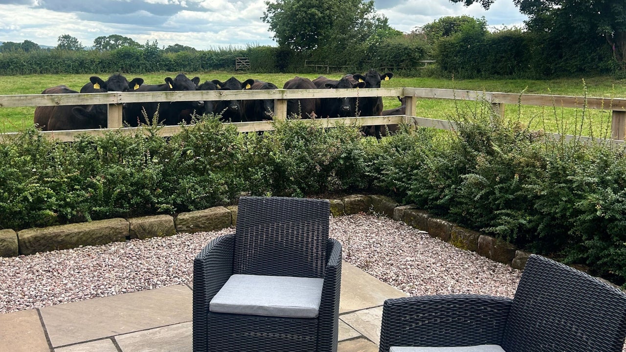 6790bb36-4dc9-4330-b83f-ea81d667389a-lovelaserskin-gb-england-manley-fresha-5792774