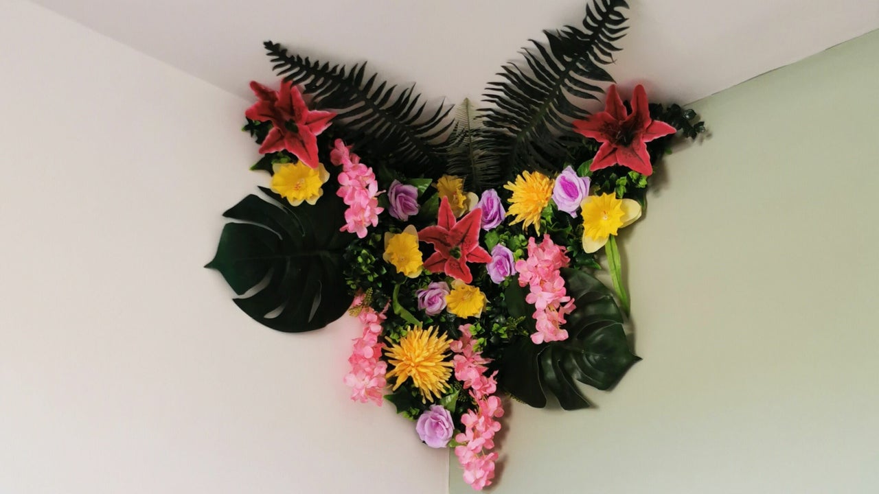 69b2f44f-d719-4645-9e26-df408b1589a9-7543209