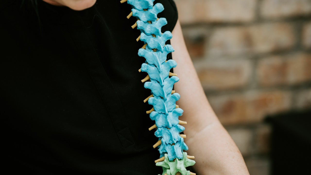 6a36031c-4857-47a3-85ef-82f3cc82103e-bodyworksosteopathy-gb-england-lincoln-eaglebarnsdale-fresha-1851100