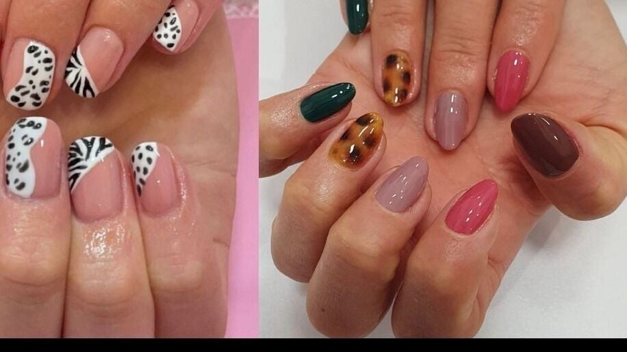 6b8c8384-cd46-4d13-8934-99ee7a273ab0-dollysmainstreetinchtureph149rn-gb-scotland-inchture-fresha-5058516