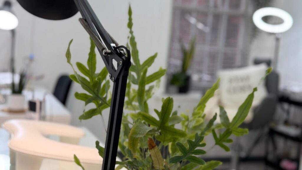 6be19e7d-8407-4d7d-9ceb-4909d0c51785-blossombeauty-gb-scotland-forfar-fresha-6898217