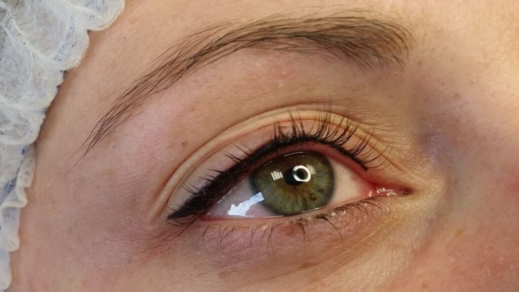 6ee265d1-df43-477e-83f1-226b7595edf3-7745019