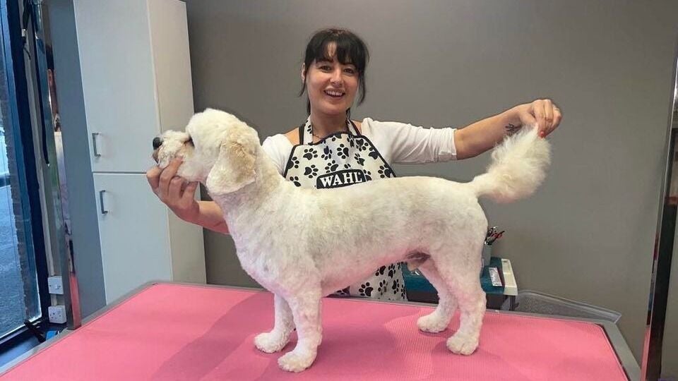 6f9a050e-4414-4efc-a3ac-d0393d82f1f0-absolutedogs-gb-england-peterborough-ortonlongueville-fresha-5291120