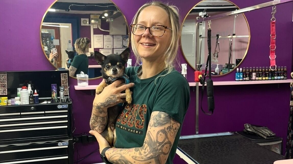 730bac22-1039-49bc-8a5f-c3f41e26d48e-pupsueydoggrooming-gb-england-devizes-fresha-5179318