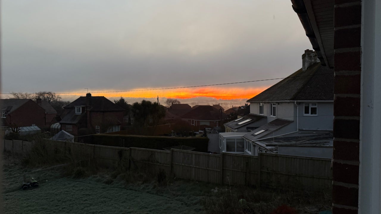 751ae400-e2ea-40c6-a263-03ab84e88428-spmubyceline-gb-england-chard-fresha-5312706