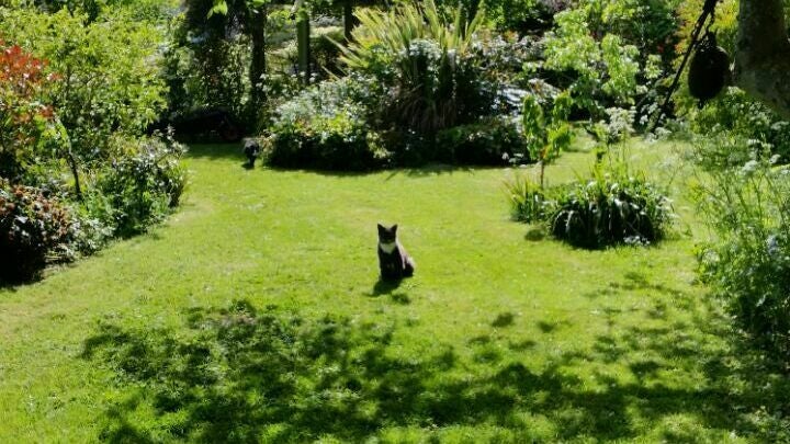 793a7dd4-7cbf-4306-9414-9fa6b1d97216-5027894