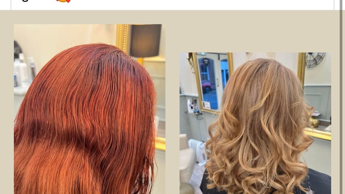 7d4df9f9-b920-42db-8278-350f4e89ae1b-violets-gb-scotland-callander-fresha-4096163