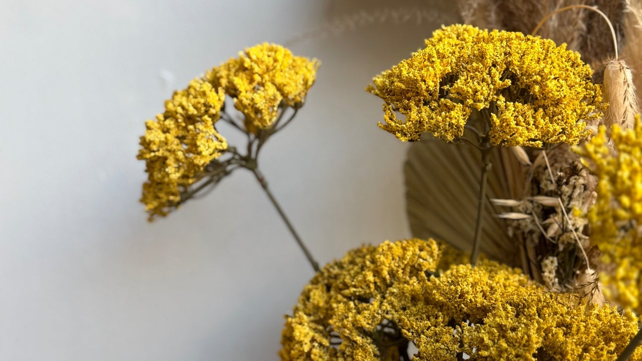 7e05088a-a416-430e-a02c-acea44b86e1e-evergreensalondurhamroad-gb-england-gateshead-fresha-9503612