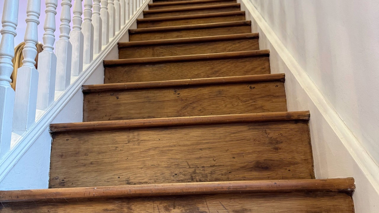 7f3c609b-e27a-4a37-b764-6b5b04fa7e03-cuttingedge-gb-england-rushden-fresha-7948142