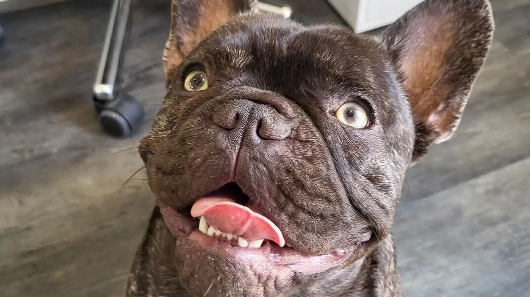 87e25539-f21c-48e9-a9e4-42e02dbe2d5f-thebeautybarn-gb-england-hayle-fresha-2917116