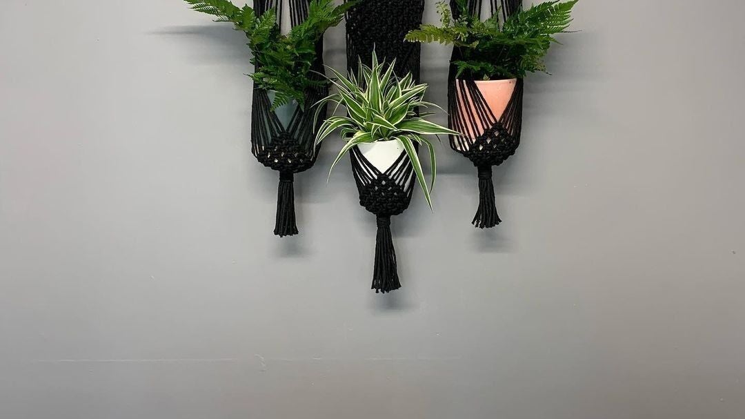 8f03e447-2a8d-45da-8835-b5df181c0073-athenahairstudio-je-saint-jean-jersey-fresha-5140302