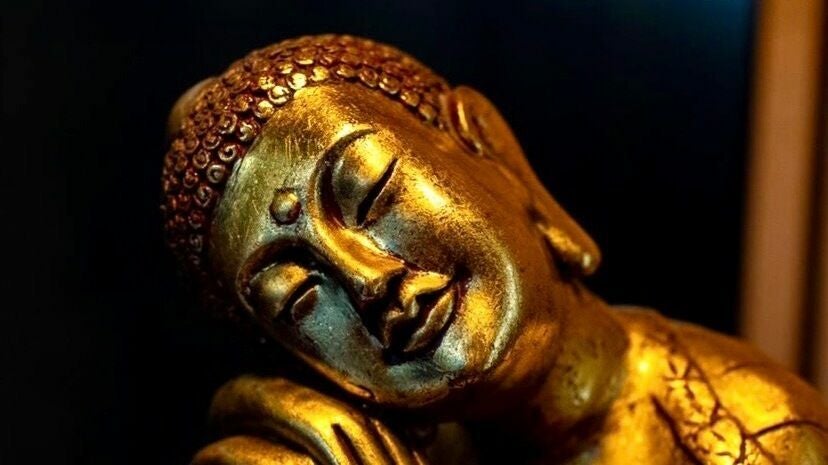 909ceaf4-c0a6-476d-aa7e-3cb300a7c330-7331135