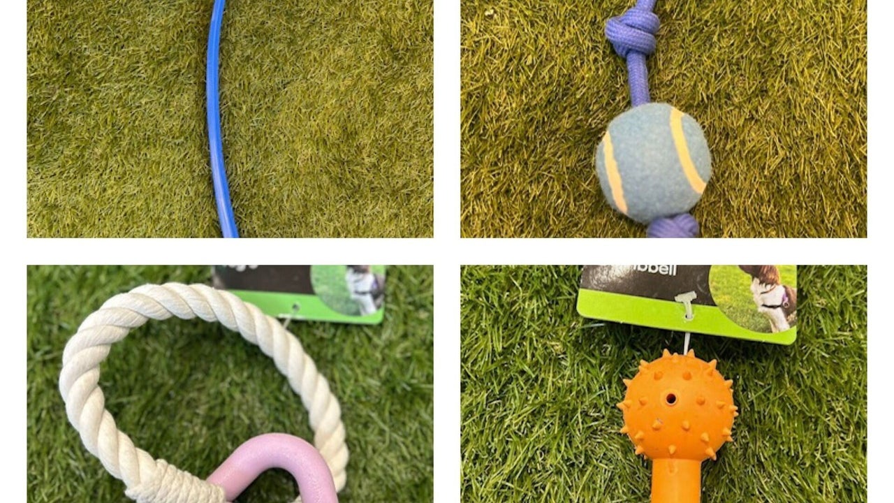 95912a7f-8759-4db6-a973-b57c2a7abc66-rawpawz-gb-england-whiston-fresha-2894315