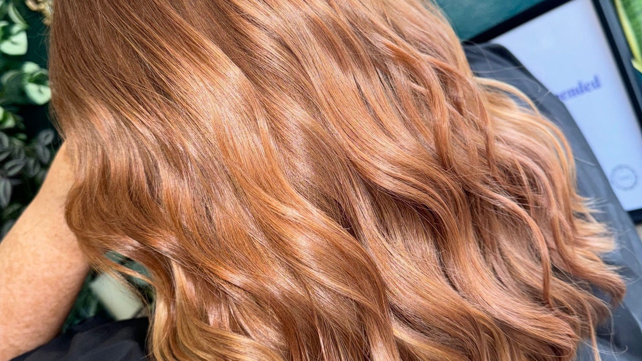 959a8623-a4a8-4d6b-8b2e-bfc31690fd6c-hausofharkin-gb-england-morley-fresha-4093248