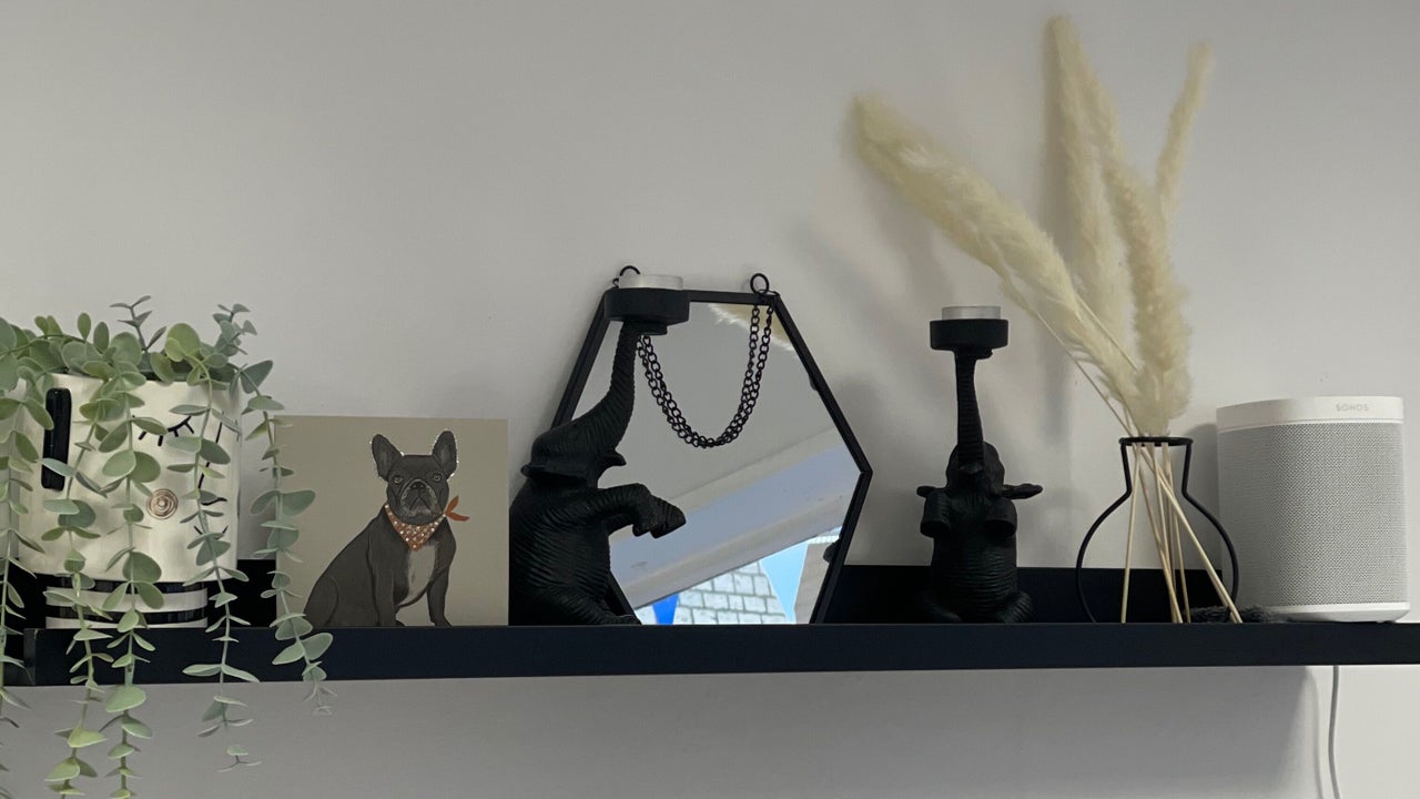 9d9e0586-ebb1-4482-8304-910cfdcb8e98-8300442