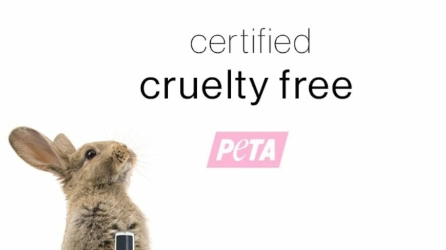 9f9fd15e-2177-4ab8-9a0b-119f97436f1a-2571589