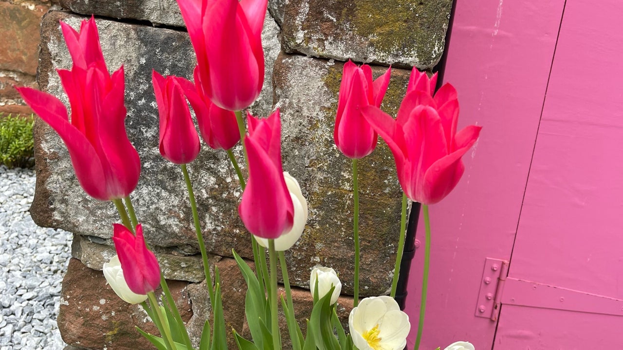 9fc84042-58e5-4706-920f-a33f244fff80-thegirlhouse-gb-england-penrith-fresha-1674934