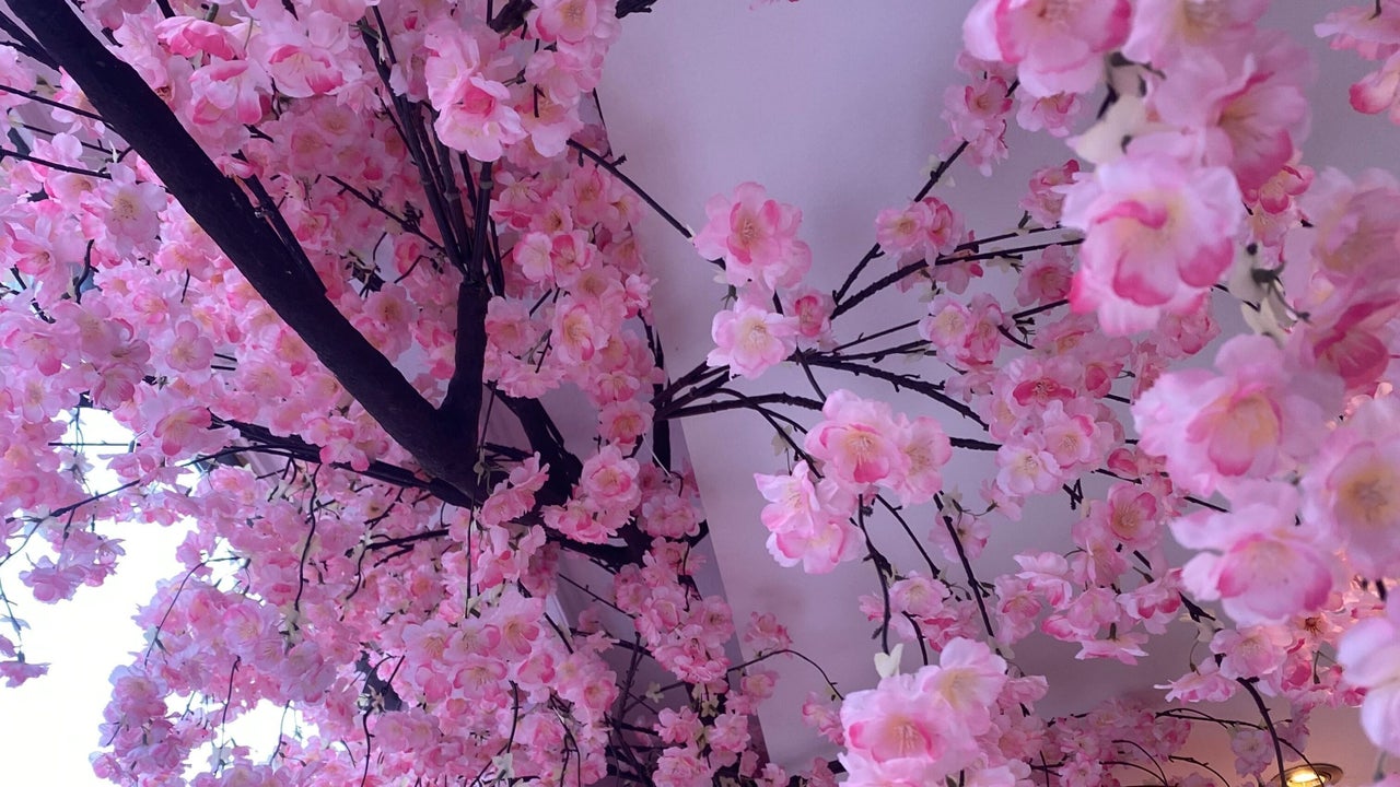 a00891a5-2835-4daf-9369-53ae0eef8ef8-9503316