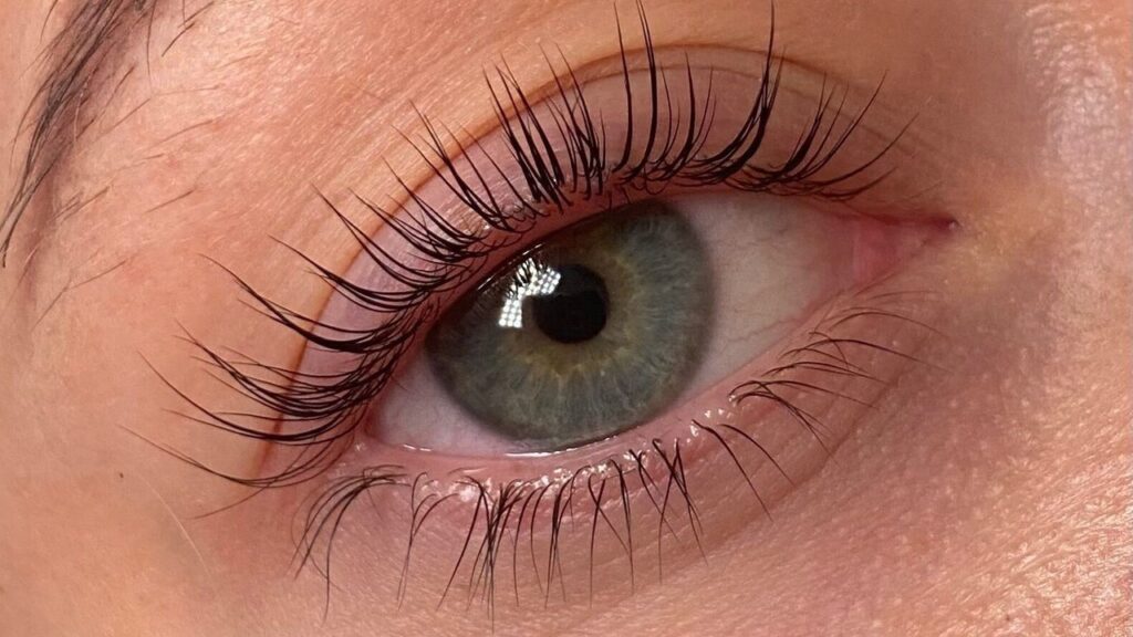 a06da17f-aa0e-4927-ac50-26ebda60e818-4702049