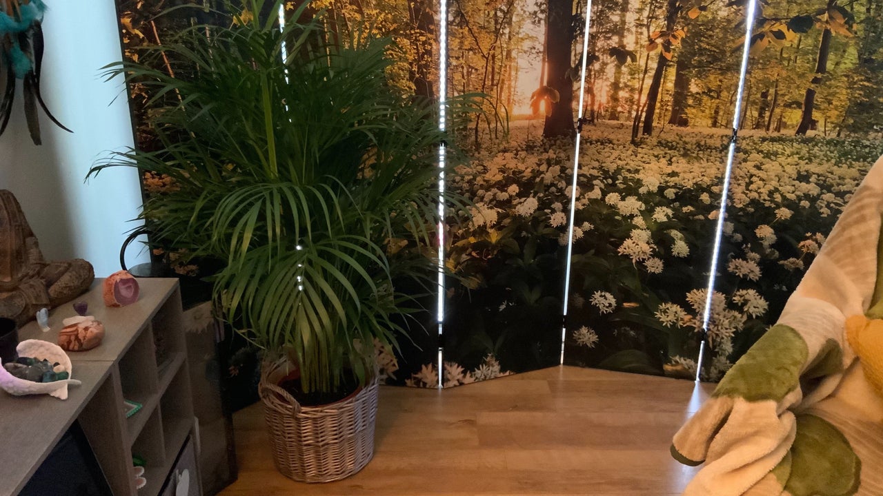 a08e90cc-1a61-4981-ad21-35f276cb10f8-1322135