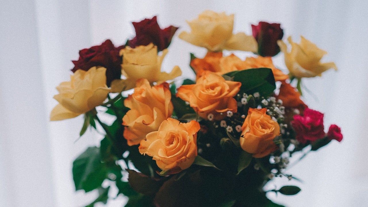 a123e73f-584a-4298-a930-d60fdf204977-glamandglowbeautylab-gb-england-hockleyheath-solihull-fresha-2723105