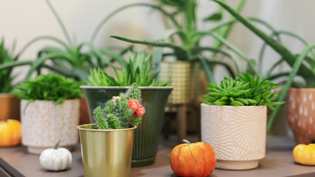 a2099401-a088-4371-8669-c68a65623a32-1392826