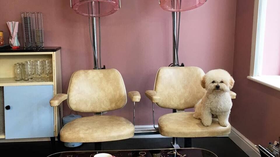 a2fe7059-eeff-4d74-893e-28822cce6b51-i_love_lucie_1-8954284