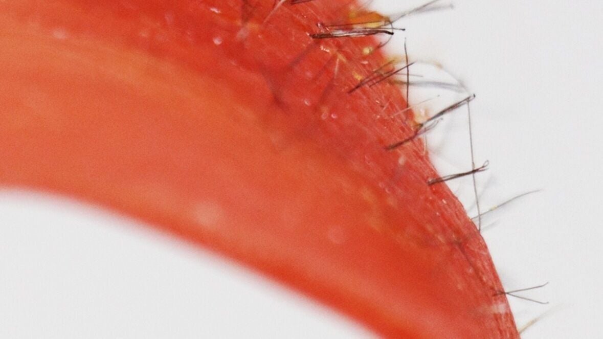 a33e8df7-d5bf-4c66-8c2e-4cb70e282ad7-coralbeauty-gb-england-bournemouth-pokesdownboscombe-fresha-9930171