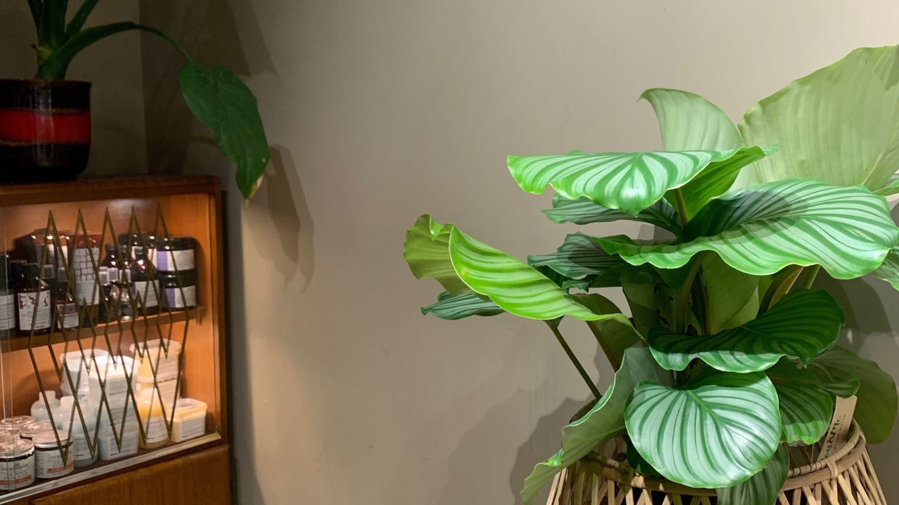 a3cce0d1-4a5d-4a4f-b6a5-a2e5470c9b86-7579441