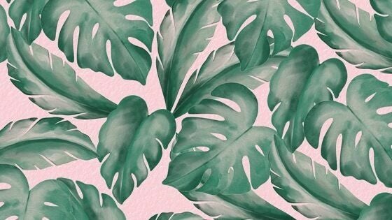 a4db7802-a336-4f0d-9a04-4640b5c20562-9626412