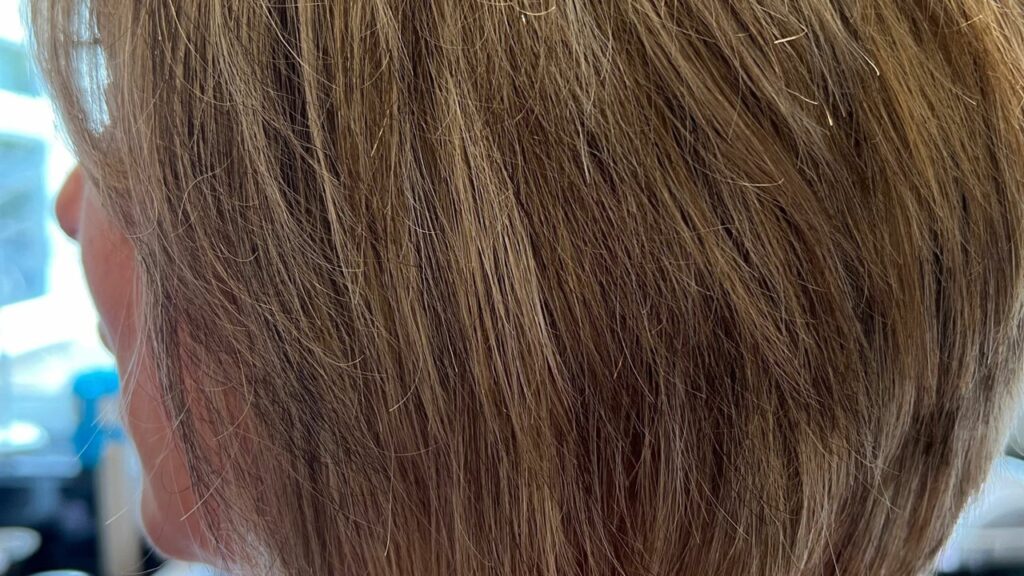 a6e43426-51a9-4aba-8f23-5f6bd1f15629-sdshairandbeauty-gb-england-leavenheath-fresha-8079020