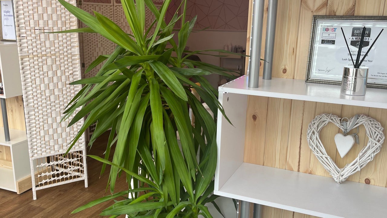 a9214d59-bffb-44be-8a79-1e95b214aa80-allaboutyou-gb-england-staustell-fresha-6227709