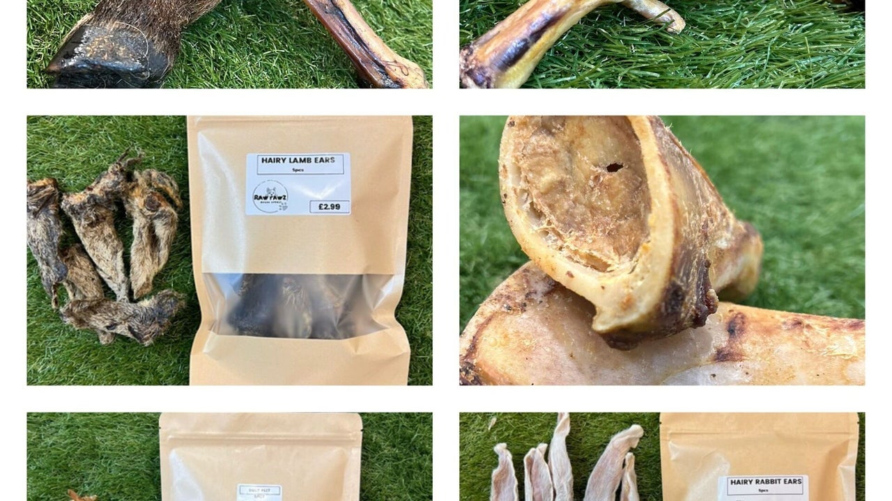 b094f398-a9a7-4824-aba9-64def93ecef8-rawpawz-gb-england-whiston-fresha-6521822