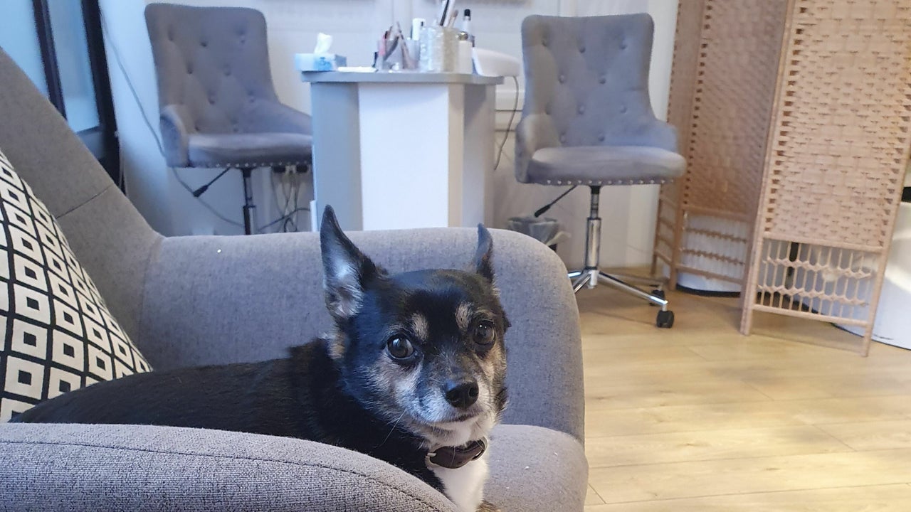 b334f3b9-5d04-426e-9bda-48de63cfbda6-9051694